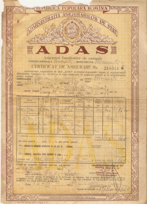 A képet nem sikerült megjeleníteni