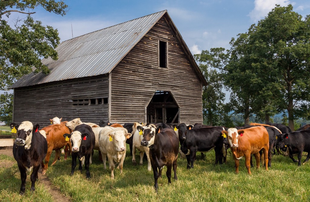 A képet nem sikerült megjeleníteni