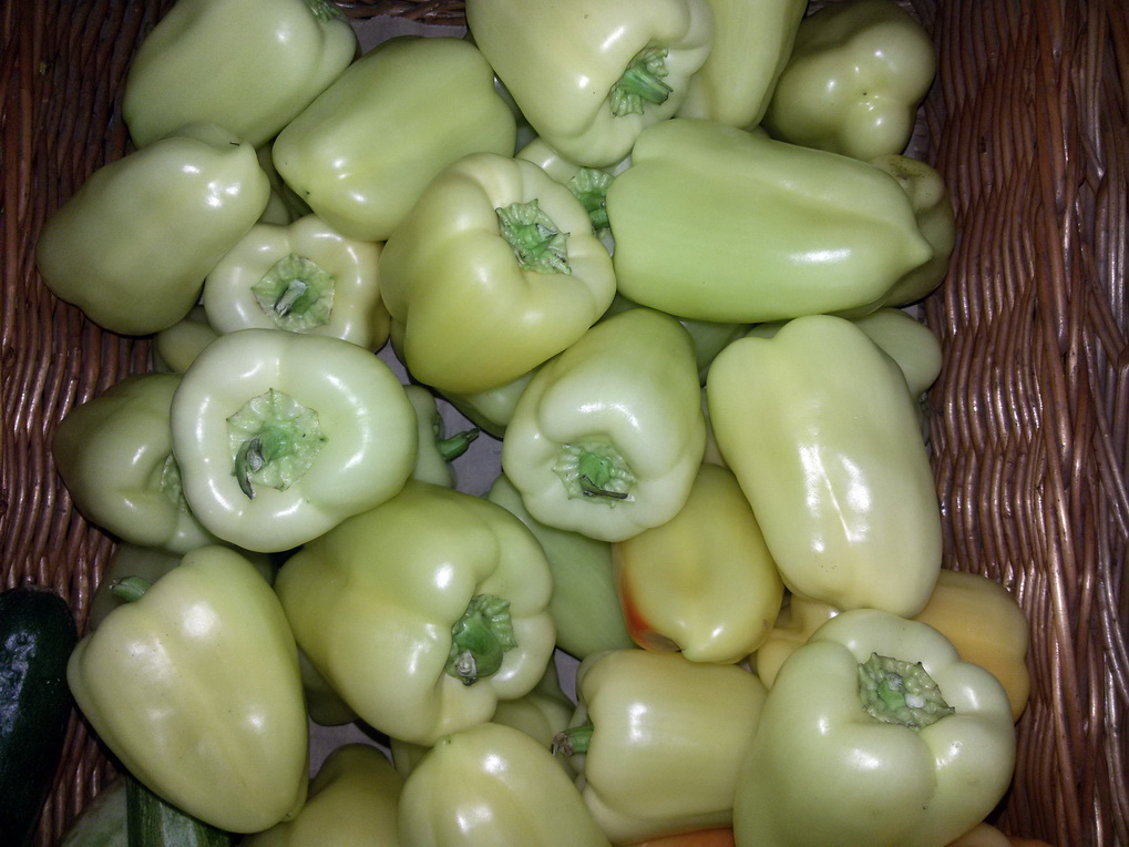 A k�pet nem siker�lt megjelen�teni