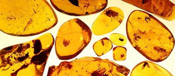 A képet nem sikerült megjeleníteni