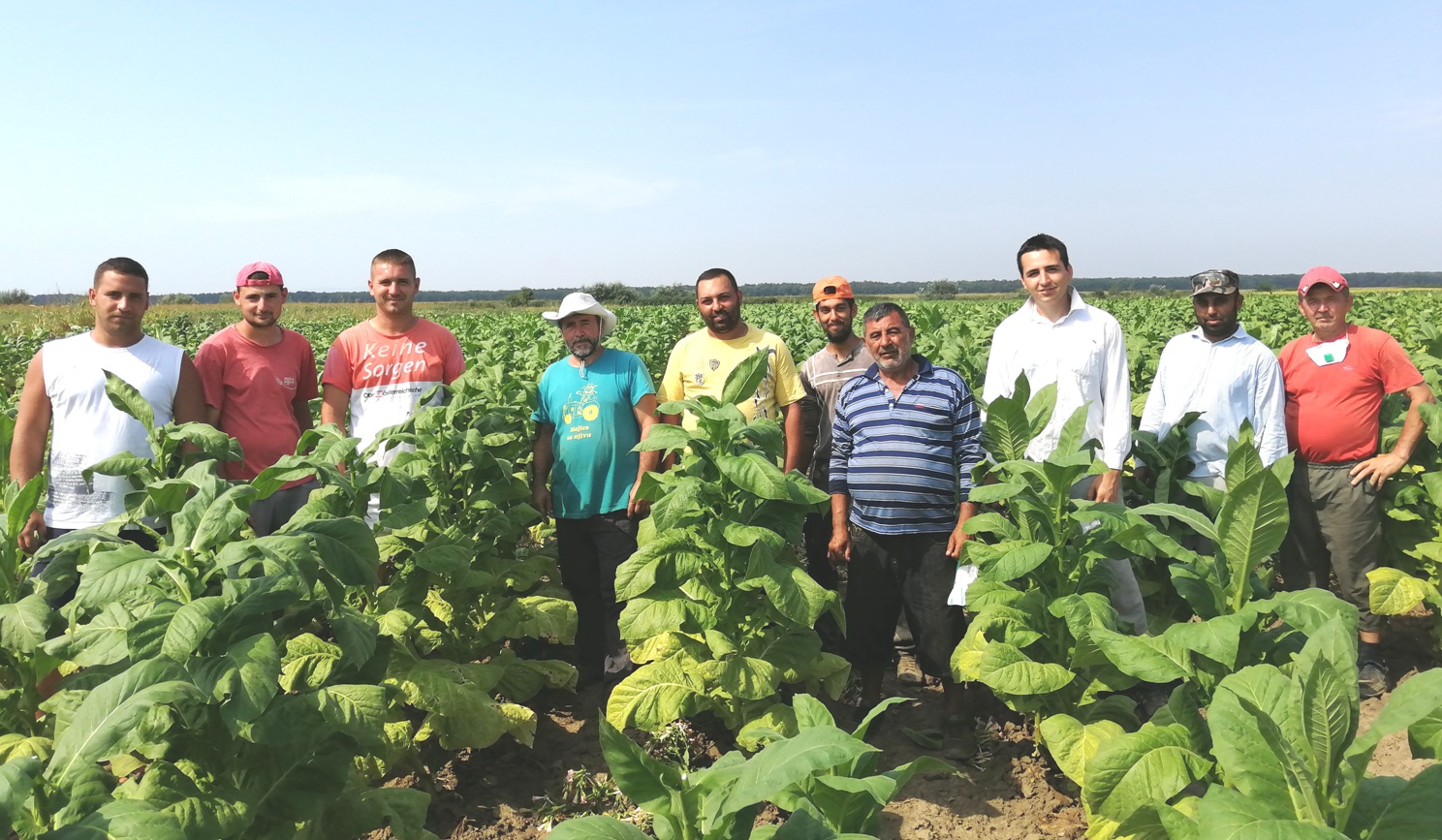 A kpet nem sikerlt megjelenteni