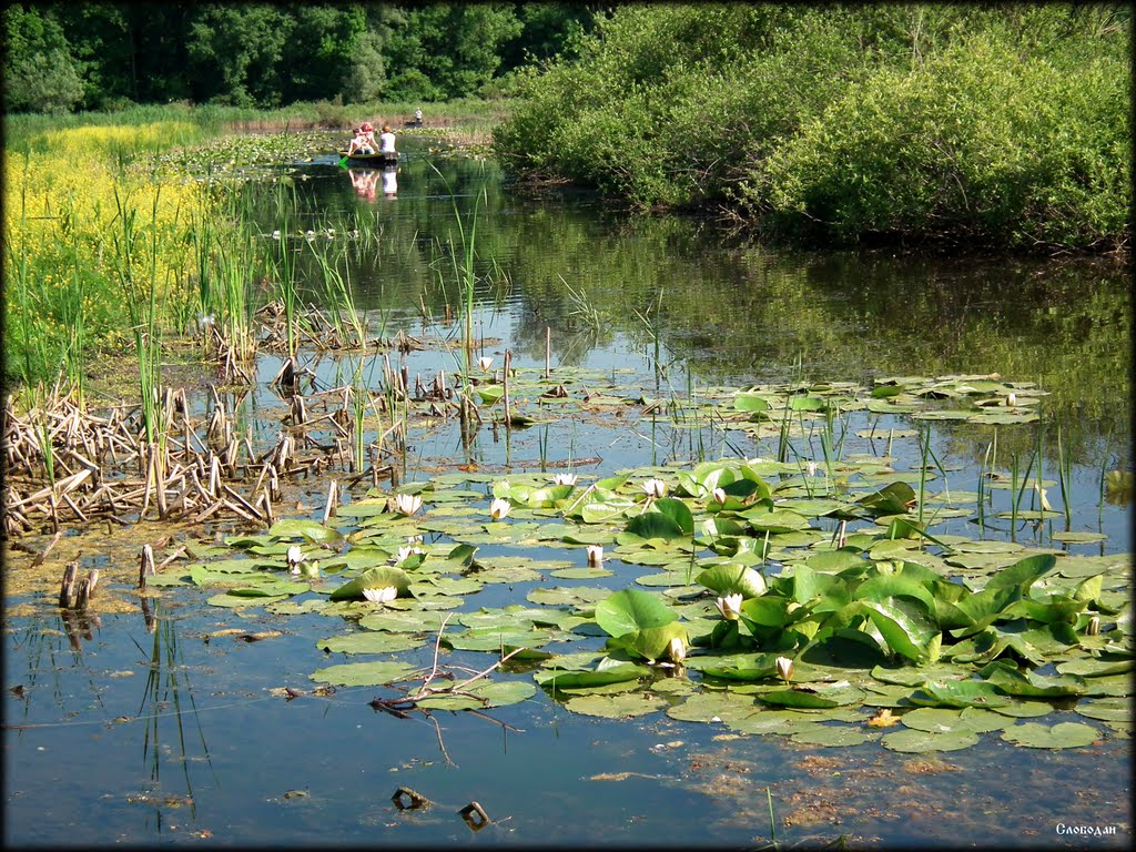 A képet nem sikerült megjeleníteni