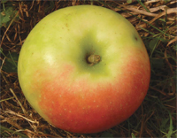 A képet nem sikerült megjeleníteni