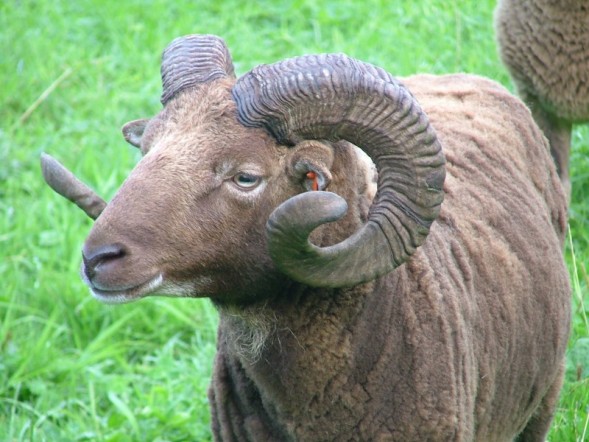 A képet nem sikerült megjeleníteni