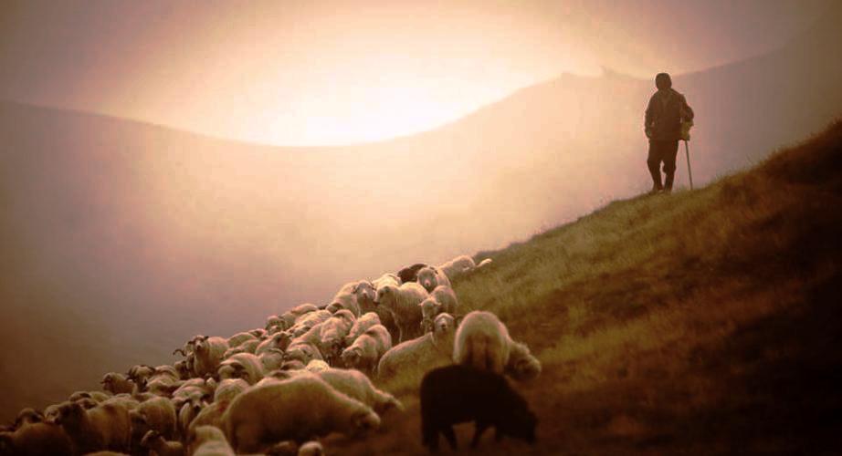 A képet nem sikerült megjeleníteni