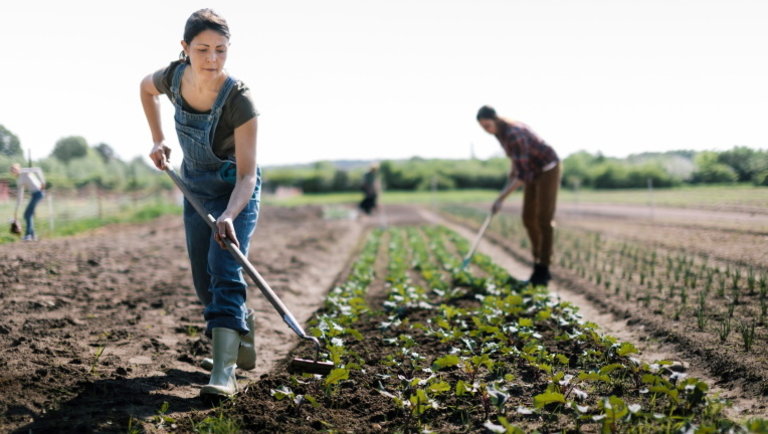 A képet nem sikerült megjeleníteni