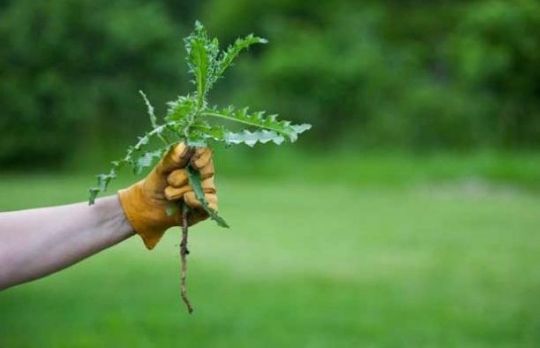 A képet nem sikerült megjeleníteni