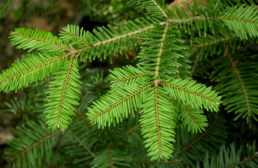 A képet nem sikerült megjeleníteni