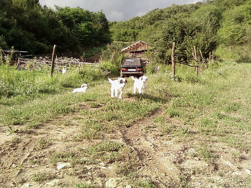 A képet nem sikerült megjeleníteni