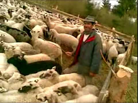 A képet nem sikerült megjeleníteni