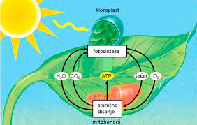 A képet nem sikerült megjeleníteni
