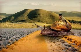 A képet nem sikerült megjeleníteni