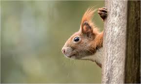 A képet nem sikerült megjeleníteni