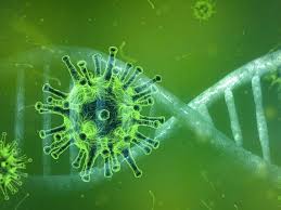 A képet nem sikerült megjeleníteni