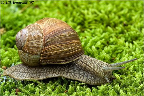 A képet nem sikerült megjeleníteni