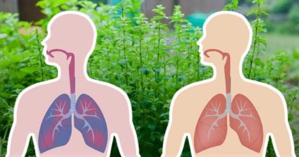 A képet nem sikerült megjeleníteni