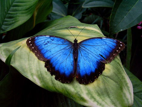 A képet nem sikerült megjeleníteni