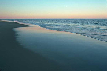 A kpet nem sikerlt megjelenteni