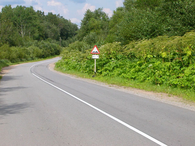 A képet nem sikerült megjeleníteni