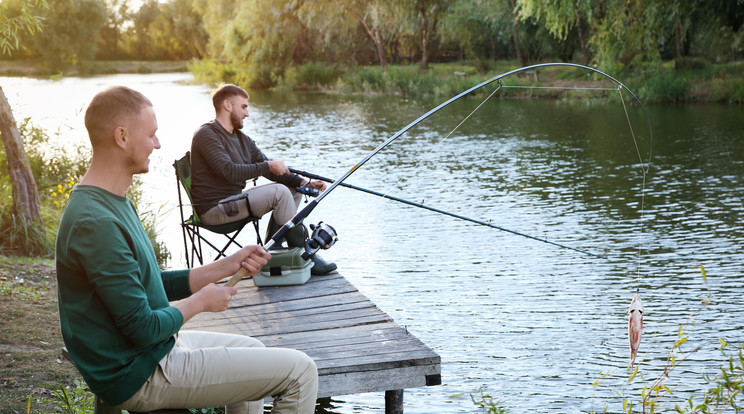 A kpet nem sikerlt megjelenteni