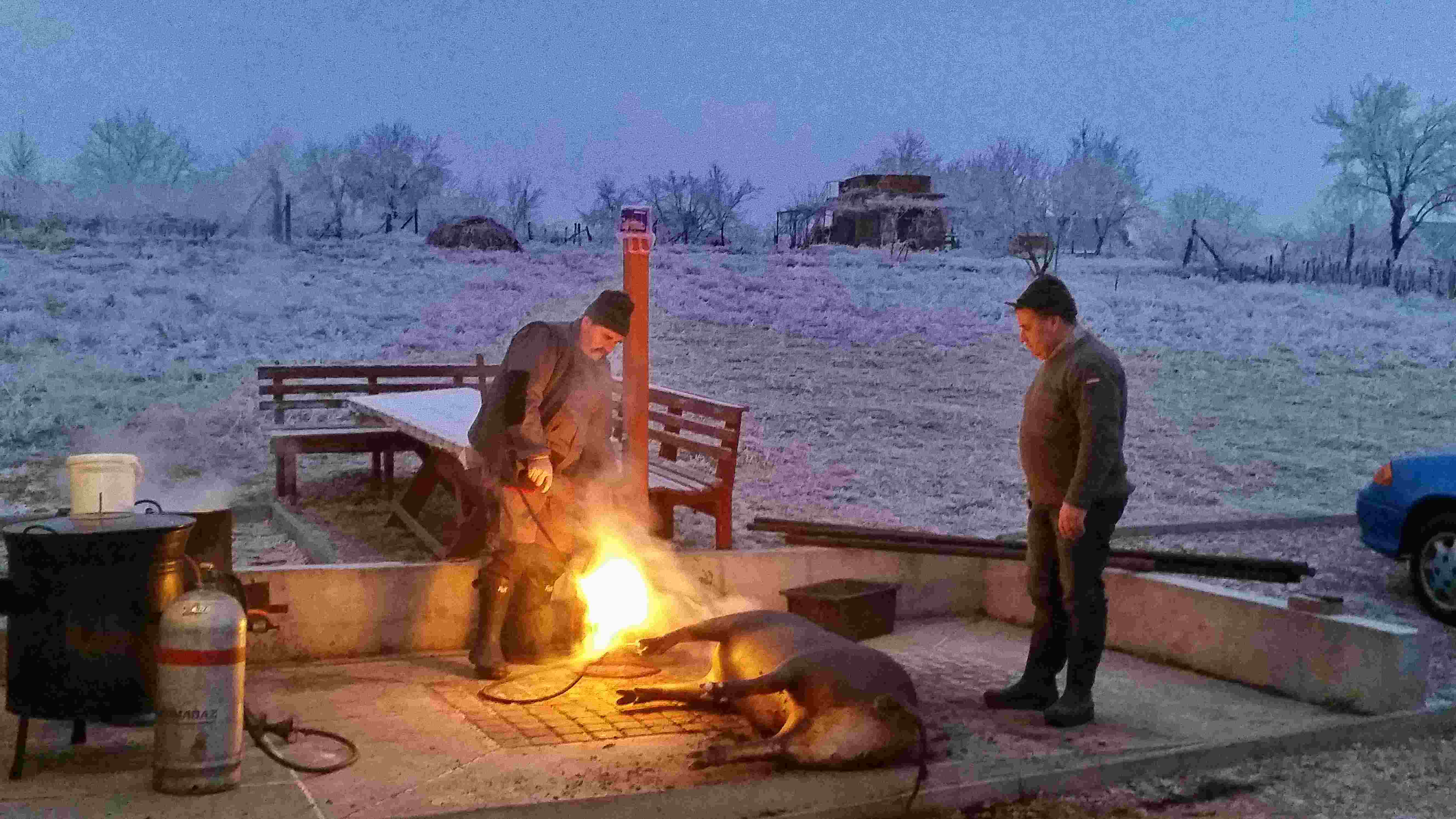 A kpet nem sikerlt megjelenteni