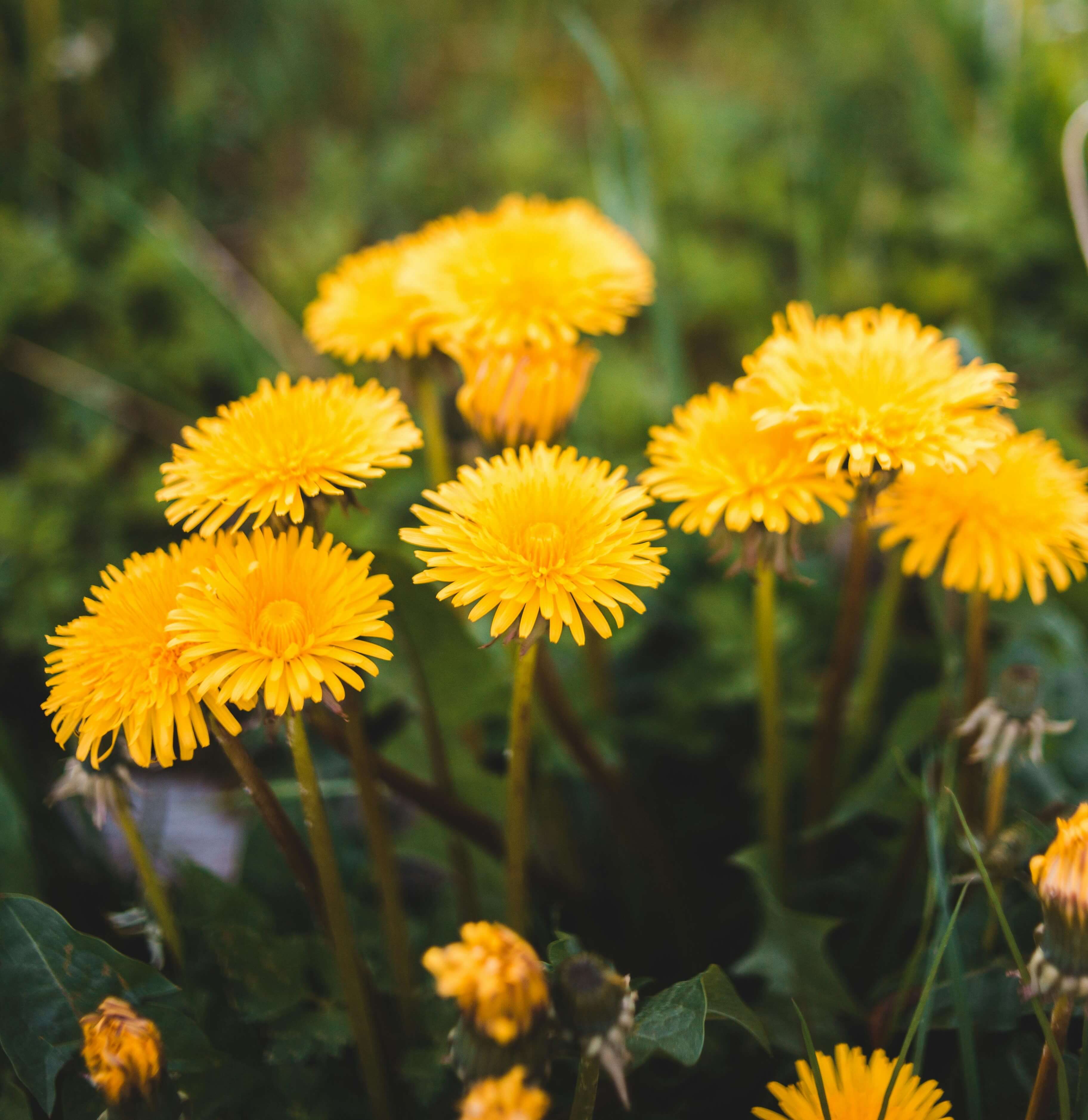 A képet nem sikerült megjeleníteni