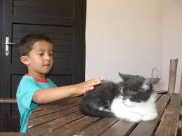 A képet nem sikerült megjeleníteni